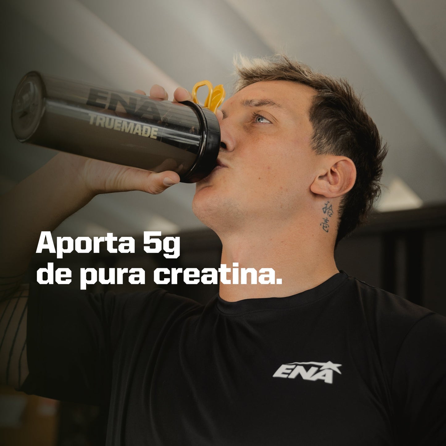 Creatina Monohidrato 150 grs